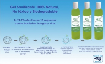 Caja con 3 botellas de Gel Sanitizante 250 ml de Origen Natural y Biodegradable. No Tóxico.